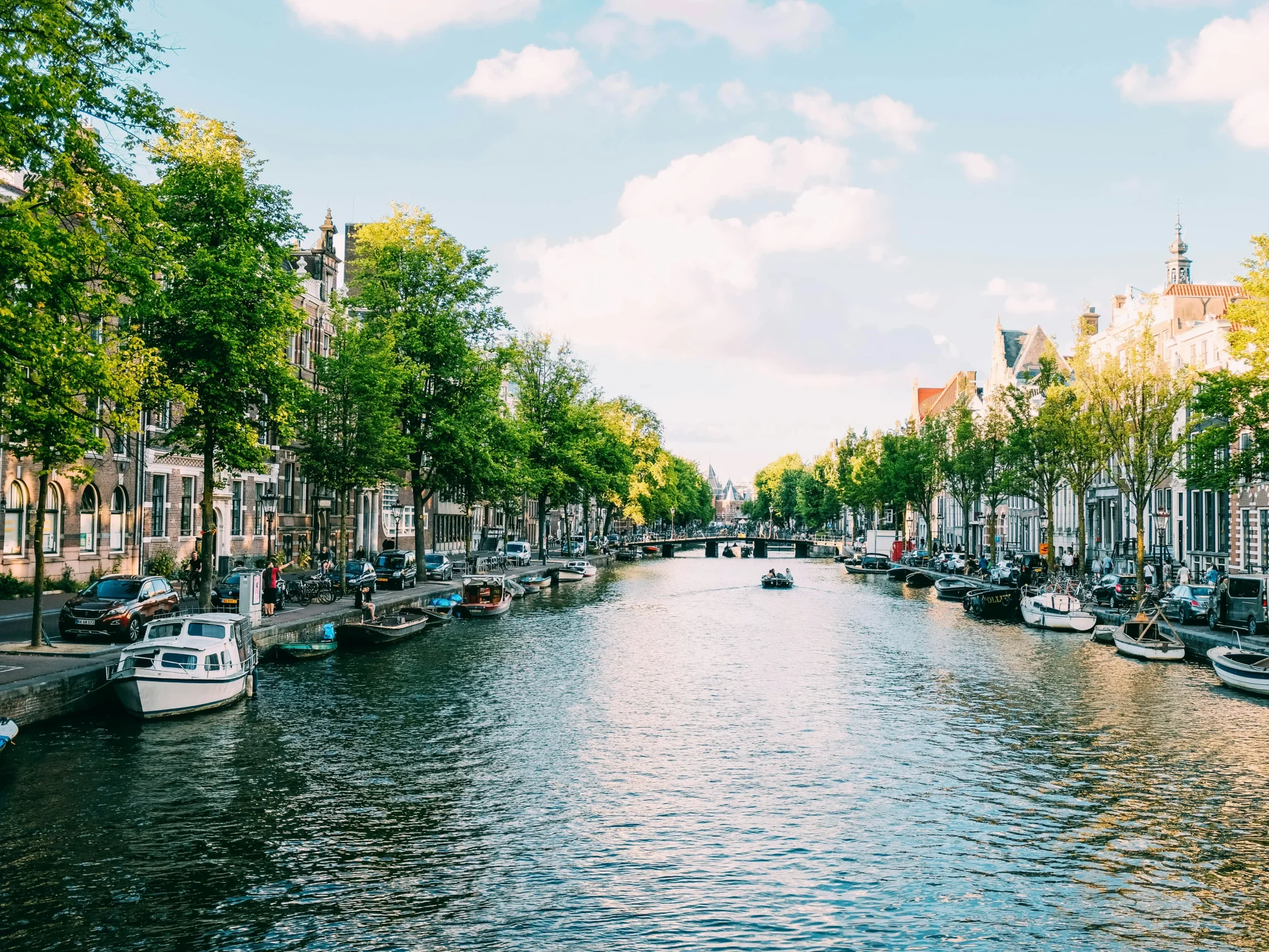 electronic product information