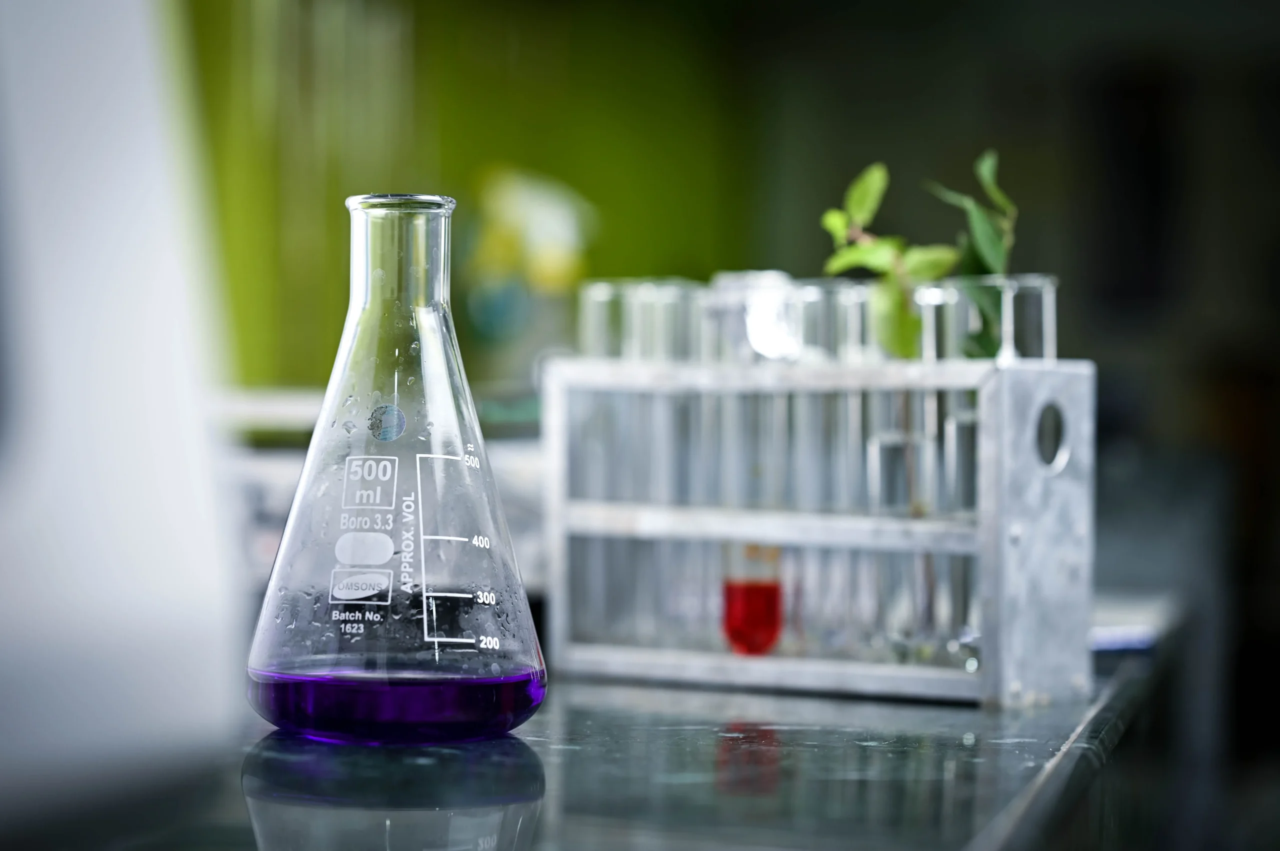 environmental risk assessment services